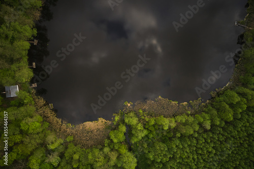 Obraz na płótnie Aerial view of a forest lake. shoreline of a wild lake, surrounded by green trees, seen from a drone w salonie