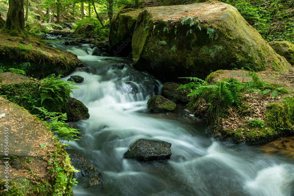 Fototapeta premium Wild and romantic Karlstal gorge in spring near Trippstadt Rhineland Palatinate, Germany