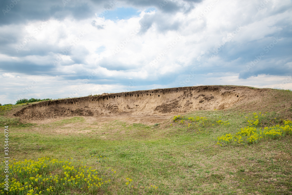 Sand dunes covered with grass on Deliblatska pescara in Serbia Sand dunes covered with grass on Deliblatska pescara in Serbia