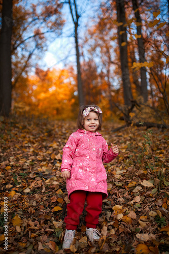 little girl walking in autumn park © Sergey Demidov