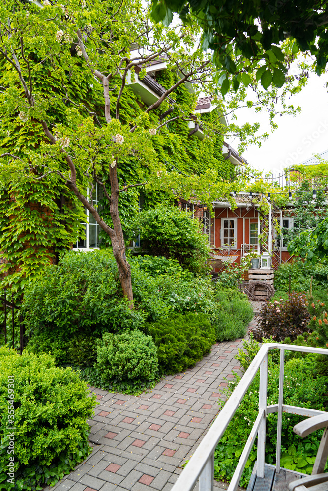 Naklejka premium spring garden in the yard. house entwined with ivy.