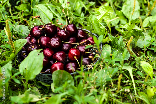 Cherries on the street, among the greenery in a transparent vase