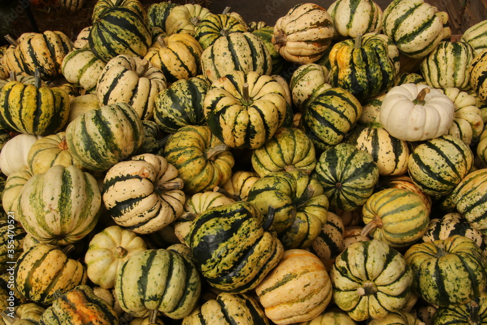pumpkins with stripes and texture