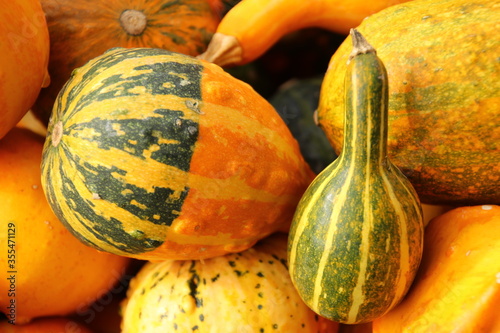 pumpkins with stripes and texture