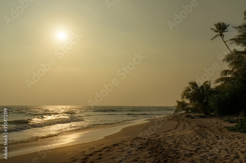 Ocean tropical beach sunset landscape with palm, Sri Lanka