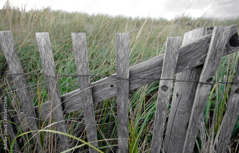 Cape Cod Snow Fence and Beach Grass