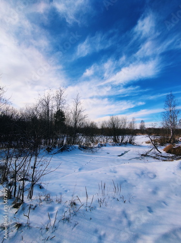 winter landscape with river © E. D