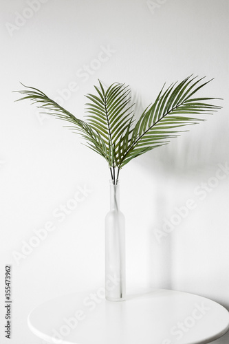 green plant in a glass vase