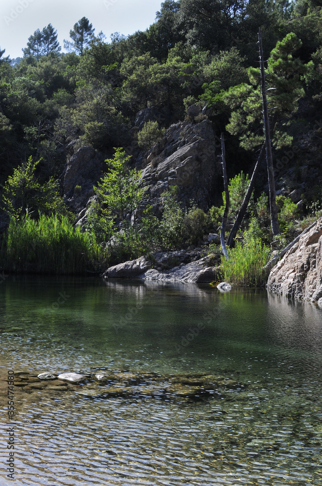 Fototapeta premium pot d'eau cristalline de la rivière solenzara dans un écrin de verdure, de sapin, de forêt et rochers dans un clair-obscur de crépuscule
