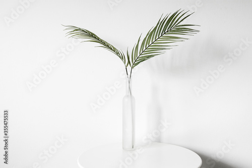 plants in a glass