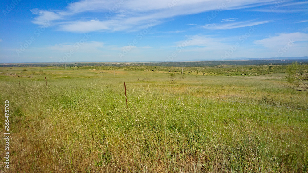 Landscape of national park Zona de Interes Regional Llanos de Caceres y Sierra de Fuentes in Extremadura, Spain. Travel and Tourism