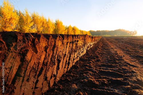 Rows of cutted peat in Northwestern Germany photo