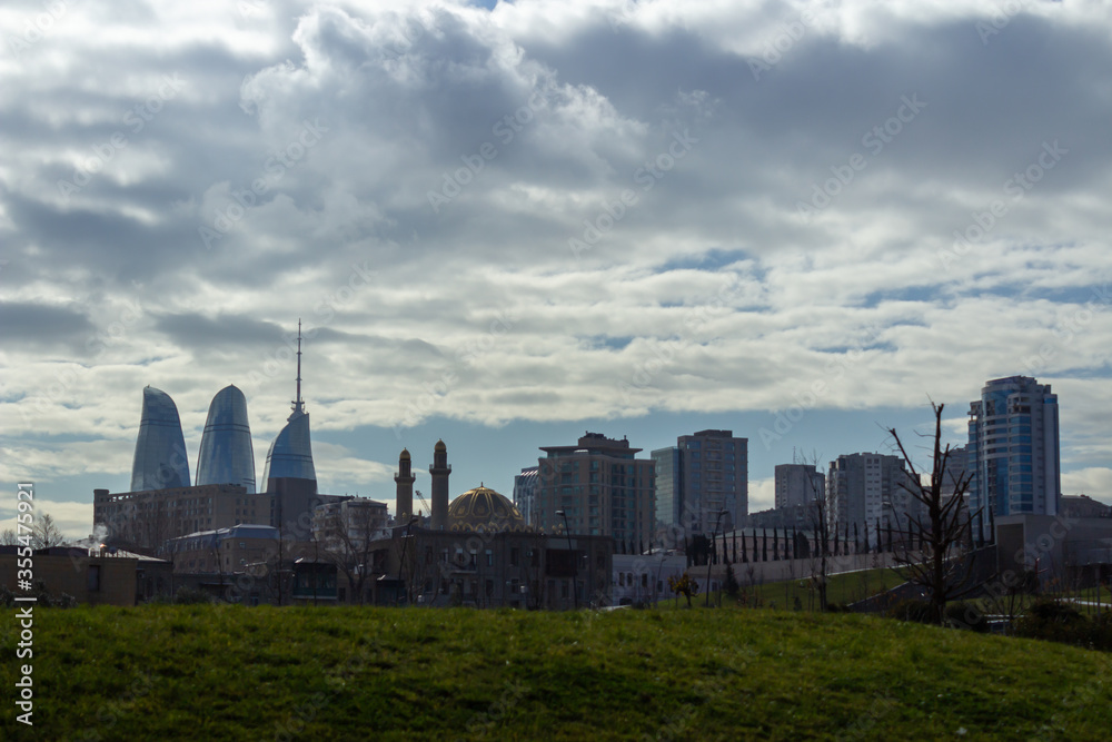 Overview of a city with tall buildings from a green park on a summer