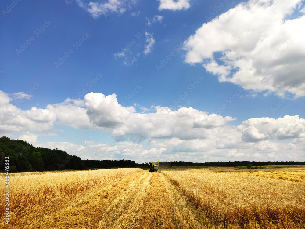 A modern combine harvester working on a wheat field, harvesting, on agricultural land