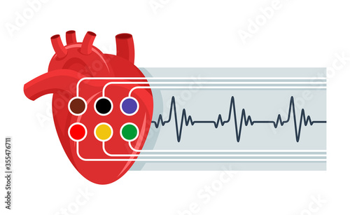 Electrocardiography (ECG) icon - human heart with sensors and paper report or heart rate - isolated vector medical illustration