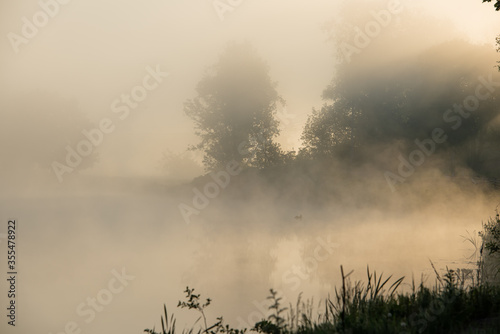 Fototapeta Naklejka Na Ścianę i Meble -  Silhouettes of Plant Stalks on the River Bank in Solar Mist.