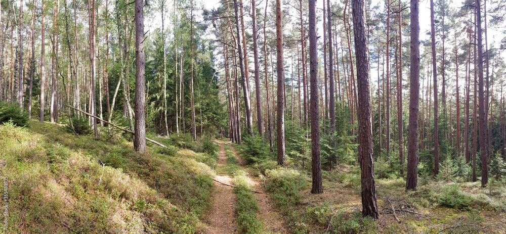 Fototapeta premium scenic panorama view of natural landscape under a cloudy sky
