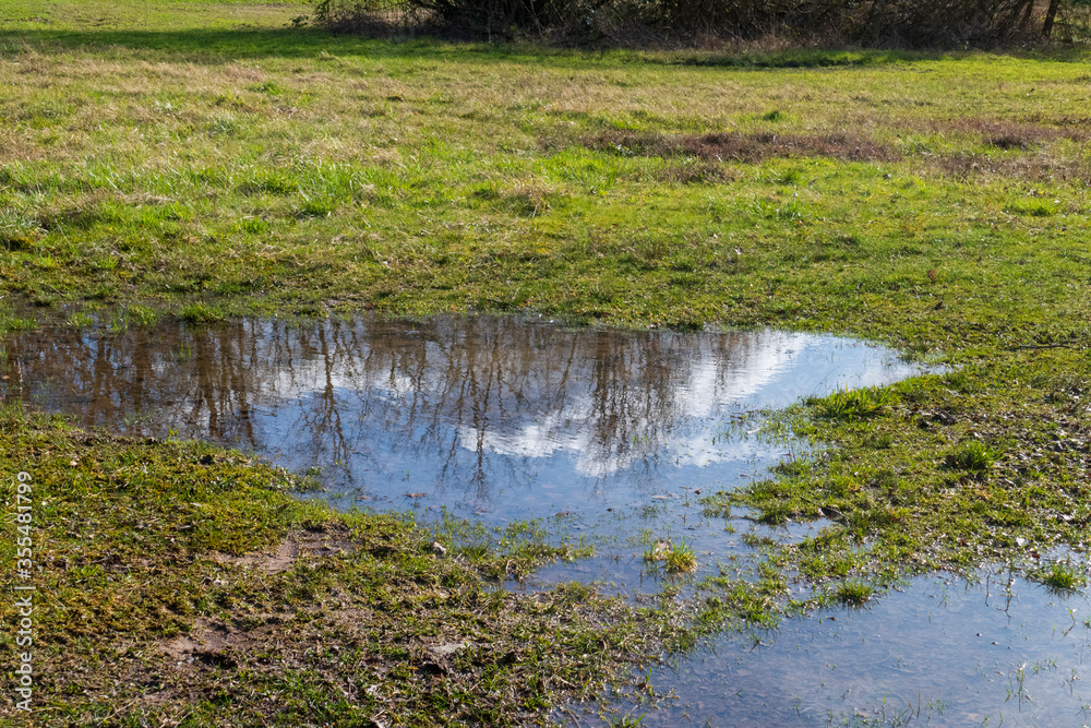Bäume und Himmel spiegeln sich in einer Pfütze Bäume und Himmel spiegeln sich in einer Pfütze