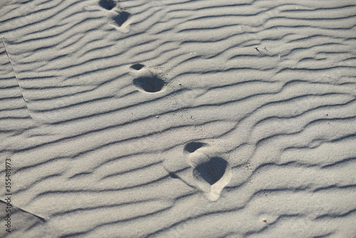 child steps on the sand