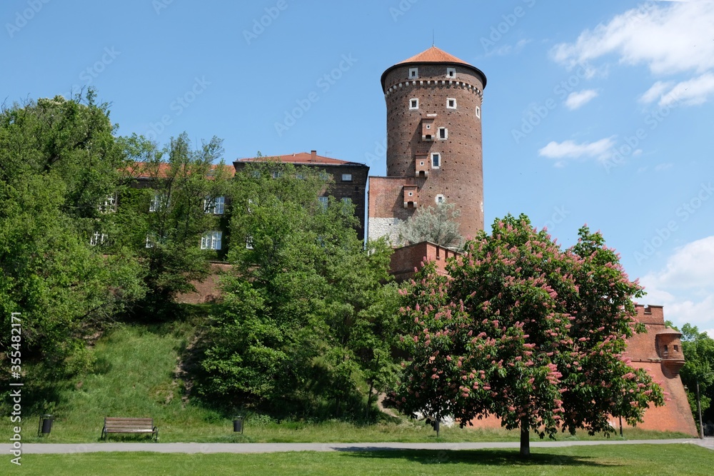 Wawel Royal Castle and green park with blooming trees in Krakow, Poland. Exterior view from the Vistula River side. 