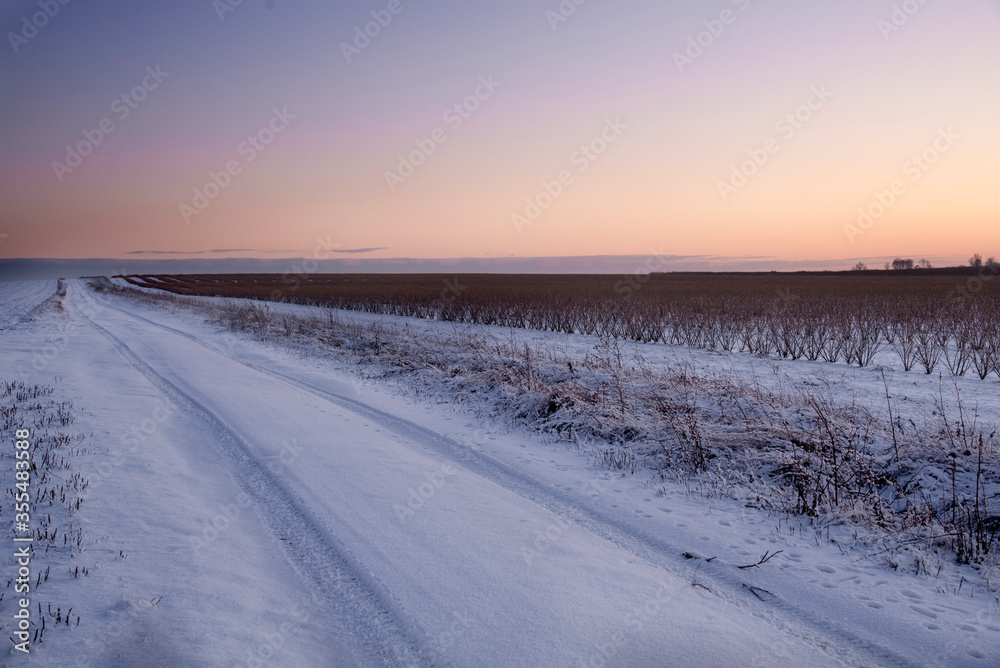 Road in winter, fields, bushes