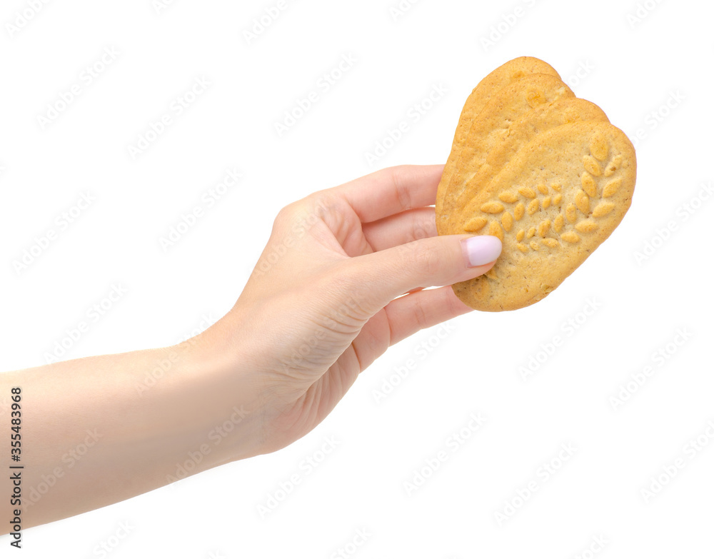 cookies in hand on white background isolation cookies in hand on white background isolation