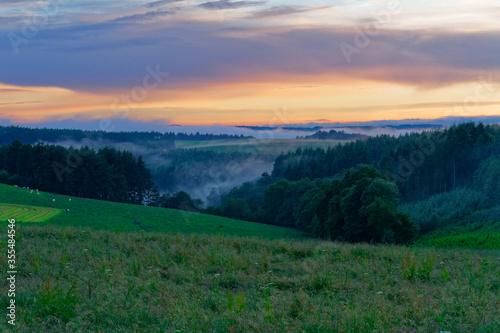 Fototapeta Naklejka Na Ścianę i Meble -  View over Hills covered by endless Forest at Sunset, fog in the valleys, grass meadow in front