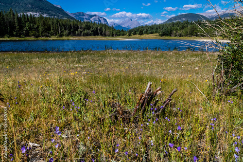 Views from the valley. Bow Valley Provincial Park. Alberta, Canada photo