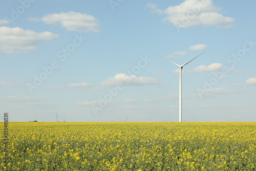 Beautiful rapeseed field with windmills against blue sky