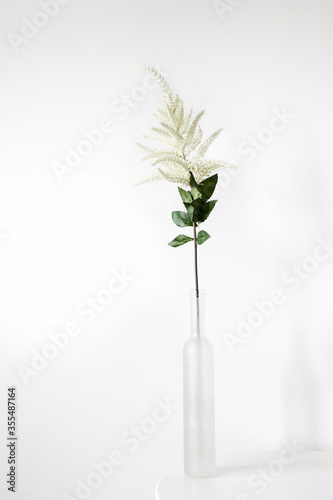 plant in a vase