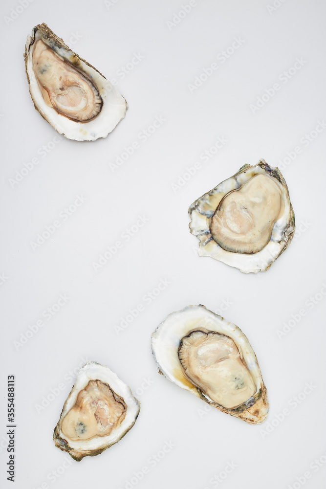 Fresh oyster on white background Fresh oyster on white background