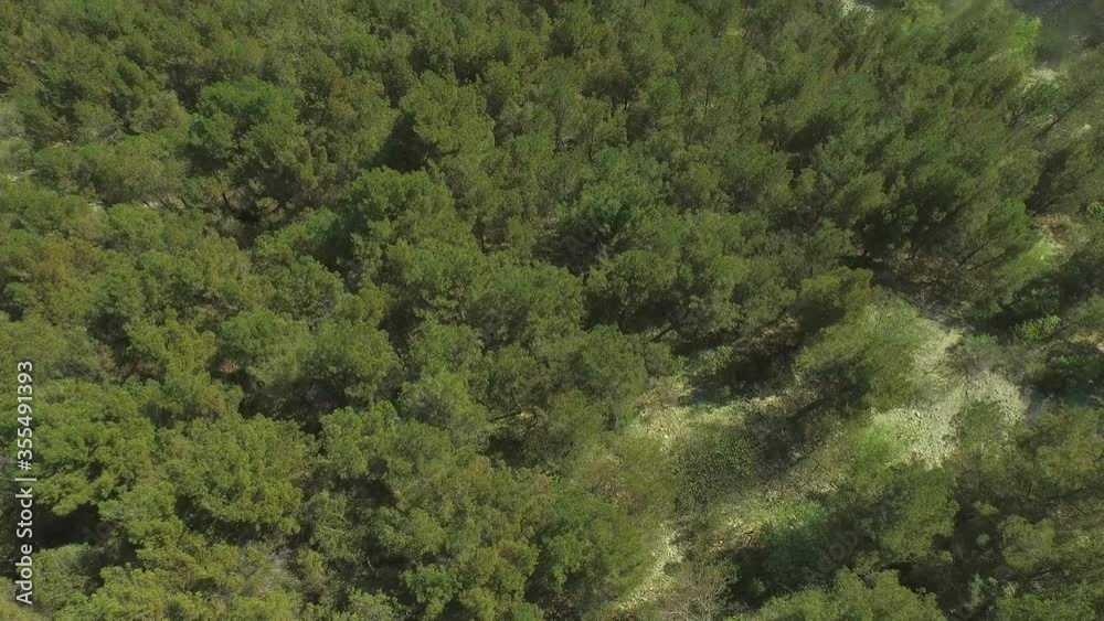 Aerial shot of trees growing in forest by beautiful river against blue sky - Krka, Croatia Aerial shot of trees growing in forest by beautiful river against blue sky - Krka, Croatia