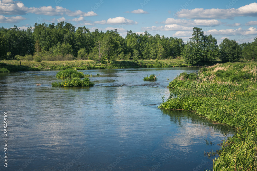 Pilica river at beautiful sunny day near Gapinin, Lodzkie, Poland