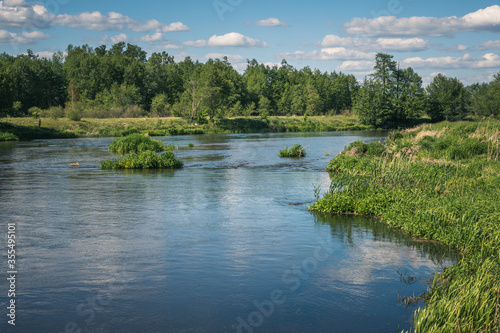 Obraz na płótnie Pilica river at beautiful sunny day near Gapinin, Lodzkie, Poland w salonie