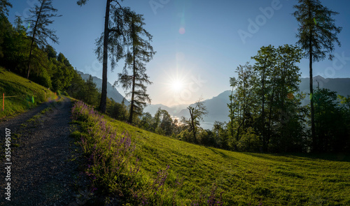 Sonnenaufgang über einer saftigen Bergwiese in den Schweizer Alpen