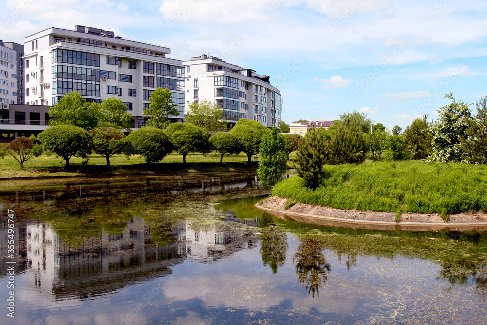 Obraz premium Beautiful landscape of the summer forest