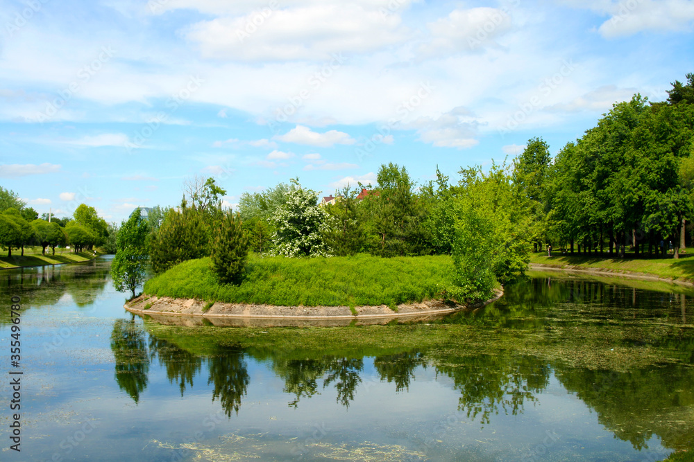 Beautiful landscape of the summer forest Beautiful landscape of the summer forest