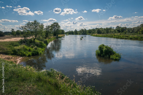 Obraz na płótnie Pilica river at beautiful sunny day near Gapinin, Lodzkie, Poland w salonie