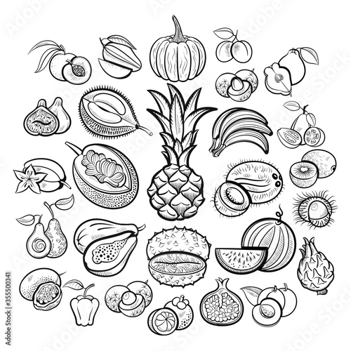 Big fruit collection. Pineapple, bananas, pumpkin, mango, passion, papaya, apple, melon, avocado, fig, kiwi, apricot, garnet, peach, plum, lychee and oth. Outline isolated sketch vector illustration.