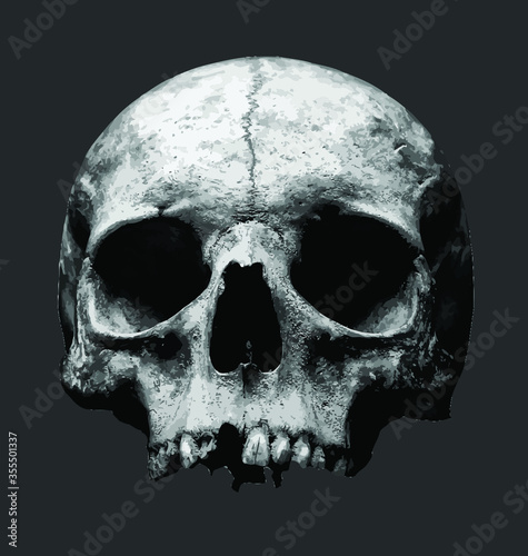 Scary Halloween Skull Head vector Illustration