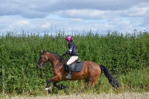horse and rider enjoying the freedom to ride in the English countryside in a competition on a summers day in rural Shropshire .