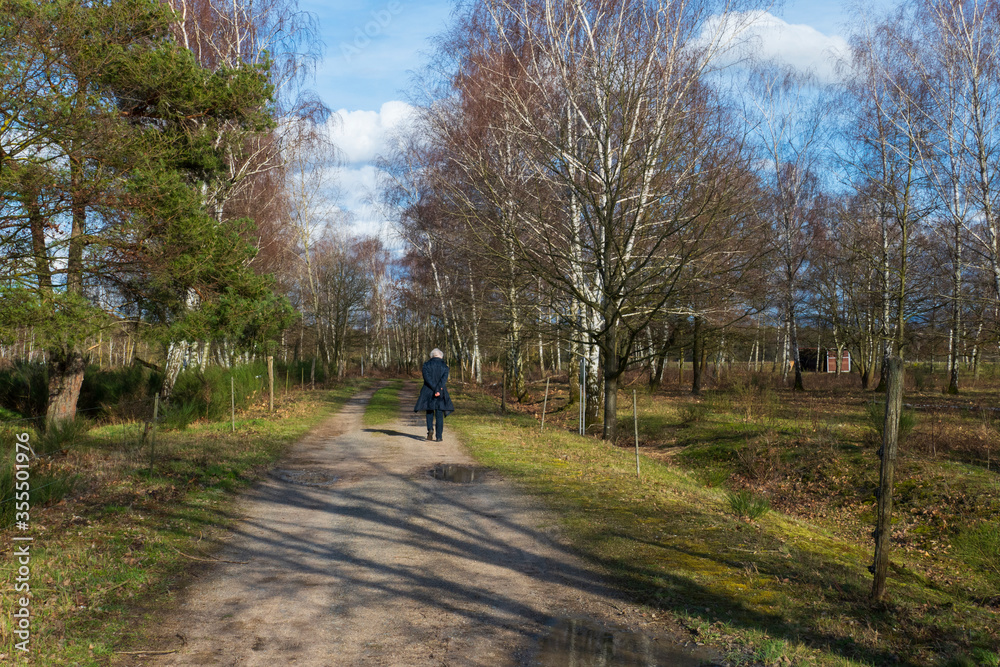 Ältere Frau geht im Wald spazieren