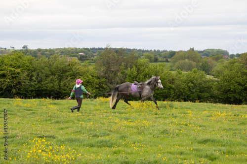 Pretty young woman long reining her grey horse in the field training it to move correctly ready for riding.