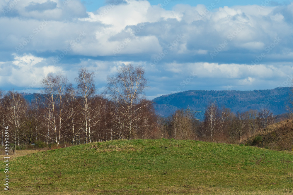 Obraz premium Naturschutzgebiet Wald, Sanddünen in Baden-Baden Sandweier