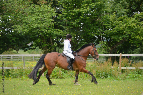Pretty young woman and her beautiful bay horse enjoy a training session in the English countryside.