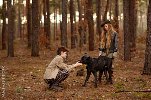 Girl and boy walk with a dog Cane corso in the forest and have a fun. Children stand near a tree and hold a dog on a leash. Children hug a dog