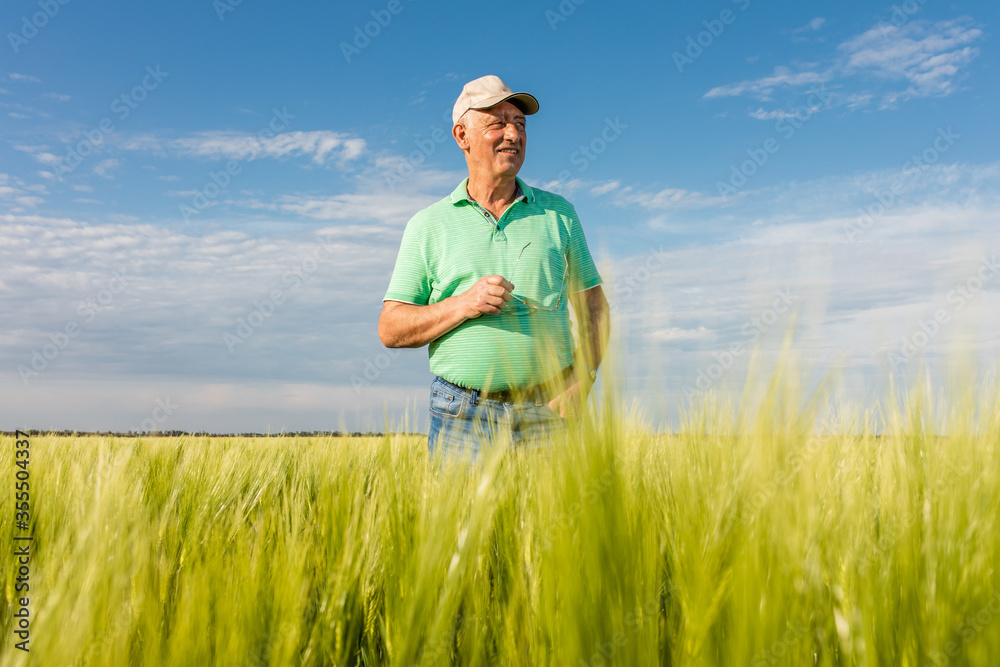 Portrait of smiling senior farmer standing in in wheat field.