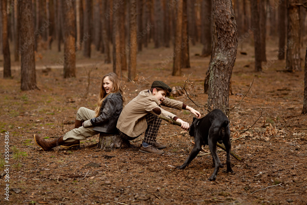 Girl and boy walk with a dog Cane corso in the forest and have a fun. Children are sitting on a stump. Dog playing with a stick Girl and boy walk with a dog Cane corso in the forest and have a fun. Children are sitting on a stump. Dog playing with a stick