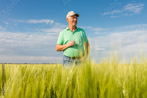 Portrait of smiling senior farmer standing in in wheat field. © Zoran Zeremski