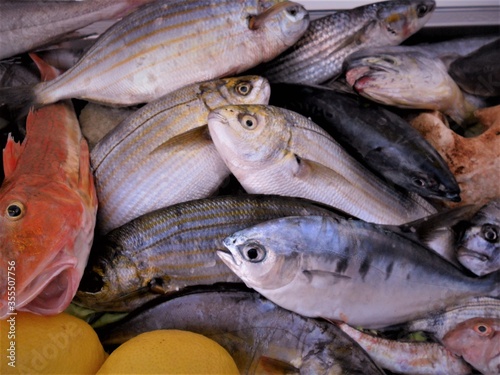 Wooden boat, turned into a refrigerator, full of fresh fish in Sorrento, Italy.